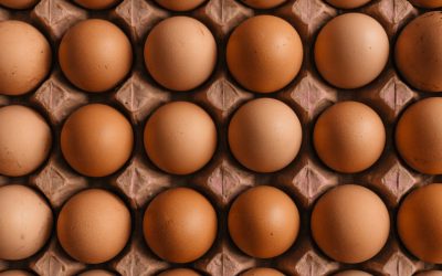 Kalorier ägg – hur många kalorier i ett ägg?